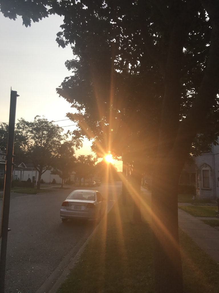 sunset-through-trees