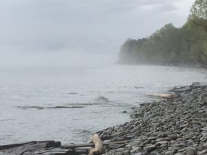 waves-on-shore-on-a-foggy-day