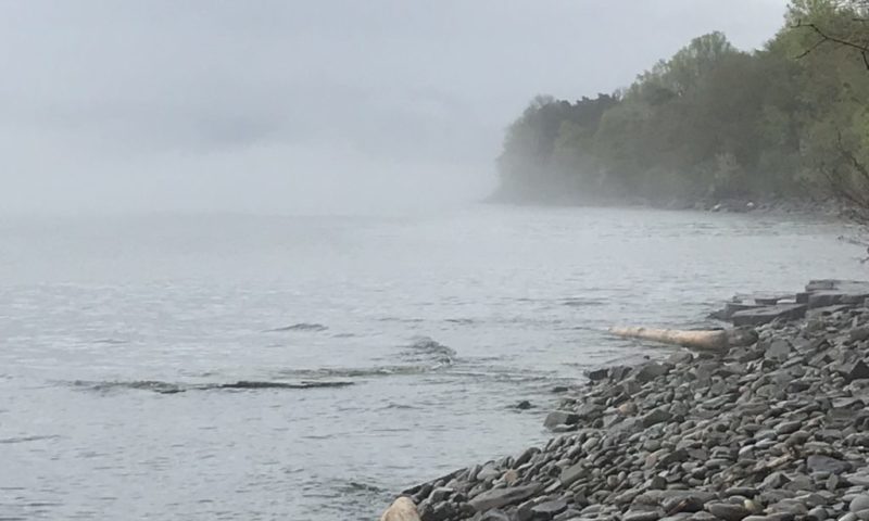 waves-on-shore-on-a-foggy-day