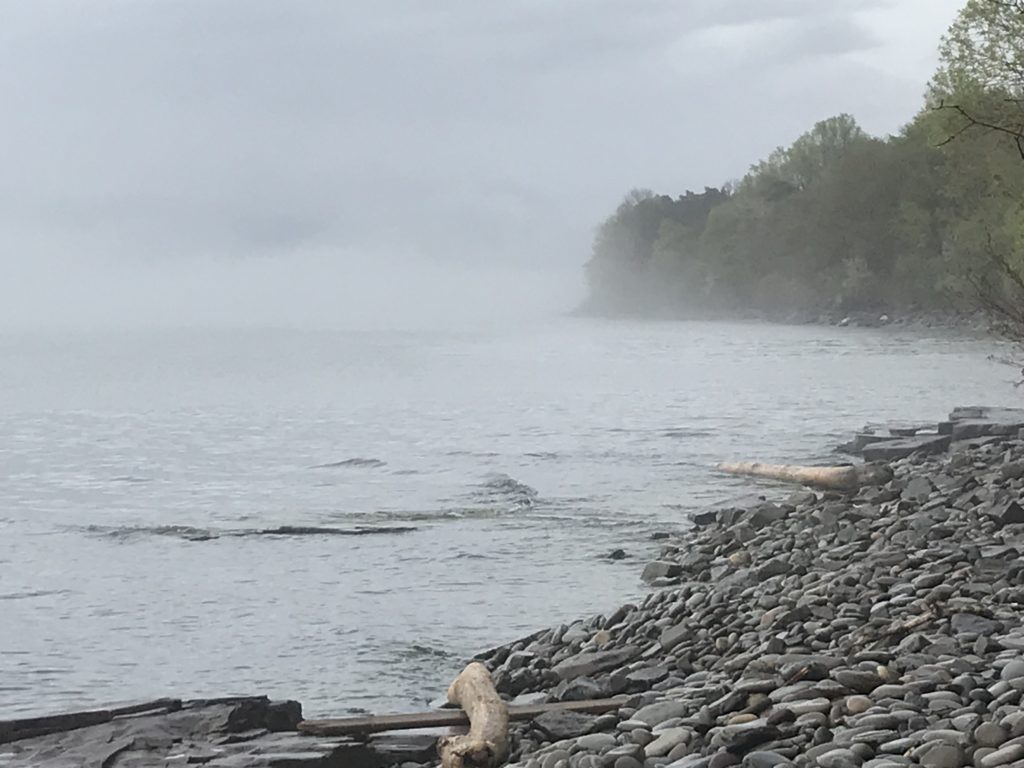 waves-on-shore-on-a-foggy-day